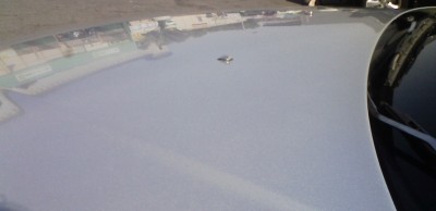 ボンネットも鏡面仕上げ♪