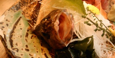 まだまだ元気なかさご君・・・