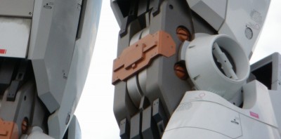 足の関節を裏から