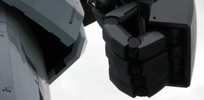 指。フラウは片手で持ち上げてましたが・・・無理