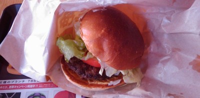 なんか見た目は残念な感じに・・・