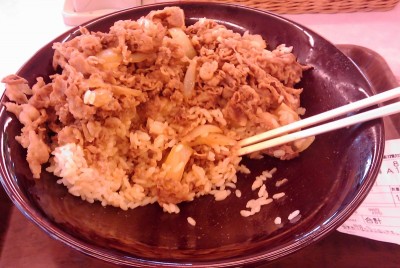 約半分をたいらげたところ。この状態でメガ牛丼1杯分か・・・