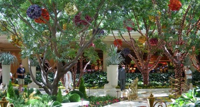 全部本物の草花