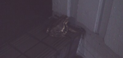 台風から避難であります♪ 台風から避難であります♪