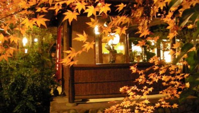 紅葉も多少残っておりました