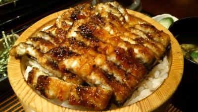 タップリな鰻!!
