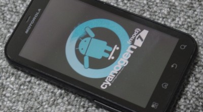 こっちも健在でした