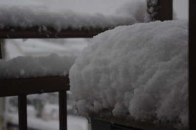 15cm ほどの高さに・・・