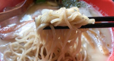 麺がよろしい!!