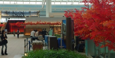 羽田はガラガラ