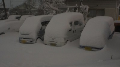 近所も雪国状態・・・